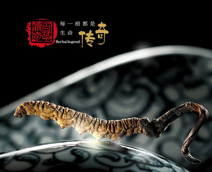 百草传奇连锁